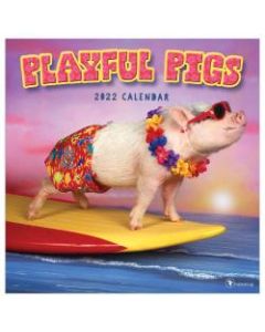 TF Publishing Humor Wall Calendar, 12in x 12in, Playful Pigs, January To December 2022