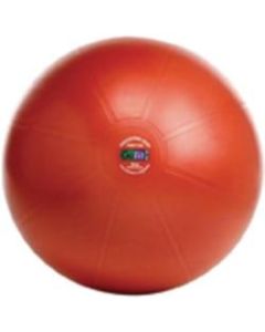GoFit Professional Stability Ball With Core Performance Training DVD, 55 CM, Dark Red