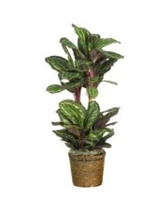 Nearly Natural 45in Silk Maranta Plant With Basket