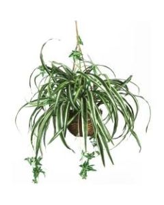 Nearly Natural 27in Silk Hanging Spider Plant With Basket