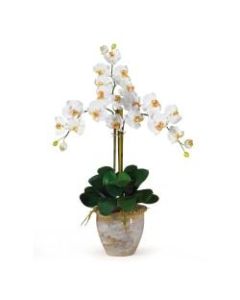 Nearly Natural 27in Triple Stem Orchid With Vase, Cream