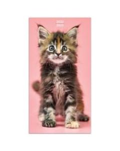 TF Publishing 2-Year Monthly Pocket Planner, 3-1/2in x 6-1/2in, Kittens, January 2022 To December 2023