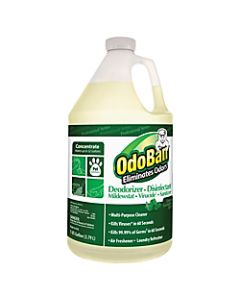 OdoBan Multi-Purpose Deodorizer & Disinfectant Concentrate, Eucalyptus Scent, 128 Oz Bottle