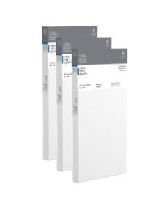 Winsor & Newton Professional Cotton-Stretched Traditional Canvases, 6in x 12in, White, Pack Of 2