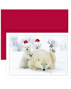 Great Papers! Holiday Greeting Cards, 5 5/8in x 7 7/8in, Santa Bear Hats, Pack Of 18