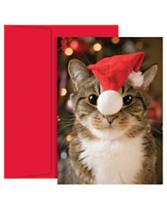 Great Papers! Holiday Greeting Cards, 5 5/8in x 7 7/8in, Festive Cat, Pack Of 18