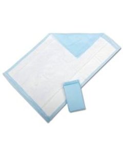 Protection Plus Fluff-Filled Disposable Underpads, Standard, 17in x 24in, Case Of 300