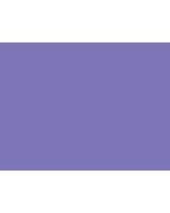 Tru-Ray Construction Paper, 50% Recycled, 18in x 24in, Violet, Pack Of 50