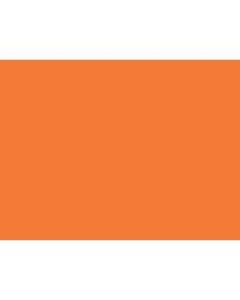 Tru-Ray Construction Paper, 50% Recycled, 18in x 24in, Orange, Pack Of 50