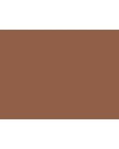 Tru-Ray Construction Paper, 50% Recycled, 18in x 24in, Warm Brown, Pack Of 50