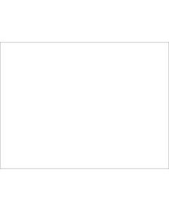 Tru-Ray Construction Paper, 50% Recycled, 18in x 24in, White, Pack Of 50