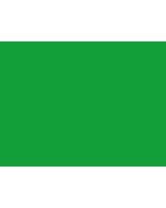 Tru-Ray Construction Paper, 50% Recycled, 18in x 24in, Festive Green, Pack Of 50
