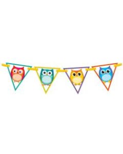 Carson-Dellosa Bunting, 7ft" x 7ft", Colorful Owls, Grades Pre-K - 12, Pack Of 16