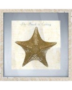 PTM Images Framed Art, Starfish I, 17 1/2inH x 17 1/2inW