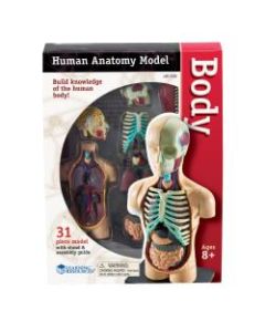 Learning Resources Model Human Body Anatomy Set, 4 1/2in, Grades 3 - 12
