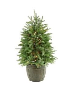Fraser Potted Pine Tree With Clear Lights, 4ft, Green
