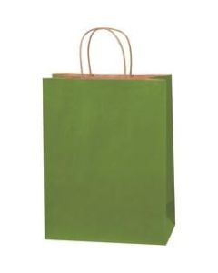 Partners Brand Tinted Shopping Bags, 13inH x 10inW x 5inD, Green Tea, Case Of 250