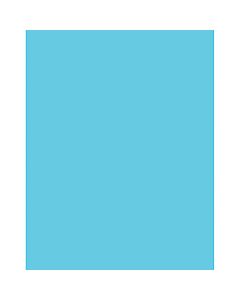 Pacon Peacock Coated Poster Board, 22in x 28in, Light Blue, Pack Of 25