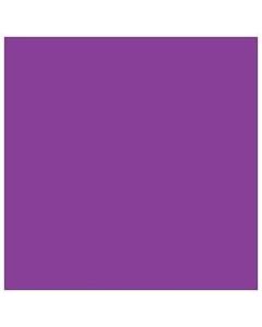 Tape Logic WriteOn Inventory Labels, DL638M, Square, 4in x 4in, Purple, Roll Of 500