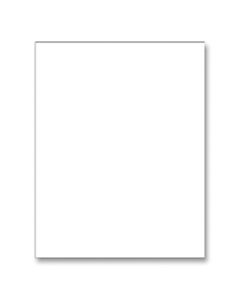 Pacon Peacock Railroad Board, 22in x 28in, 4-Ply, White, Carton Of 50 Sheets