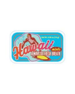 AmuseMints Destination Mint Candy, Hawaii Surfer, 0.56 Oz Tin, Pack Of 24