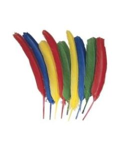 Creativity Street Quill Feathers - Multipurpose - 24 Piece(s) - 24 / Pack - Multicolor