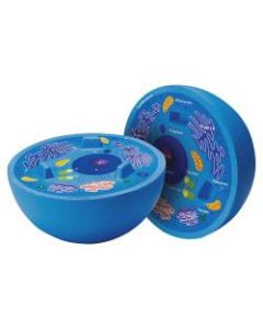 Learning Resources Animal Cell Cross Section Model, 6in x 5 1/2in, Grades 6 - 12
