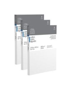 Winsor & Newton Professional Cotton-Stretched Traditional Canvases, 12in x 9in, White, Pack Of 3
