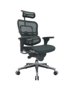 Raynor Ergohuman High-Back Ergonomic Mesh Chair, Grey/Chrome