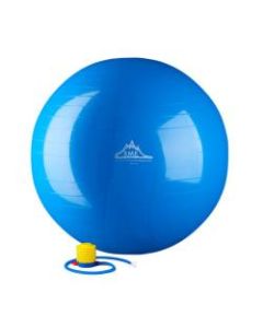 Black Mountain Products 2000 lb Static Strength Stability Ball With Pump, 65cm, Blue