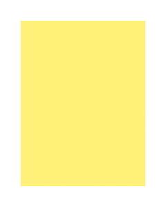 SunWorks Construction Paper - Multipurpose - 24in x 18in - 50 / Pack - Yellow - Paper