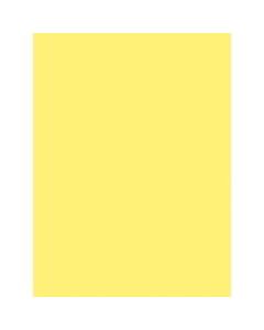 SunWorks Construction Paper - Multipurpose - 24in x 18in - 50 / Pack - Yellow - Paper