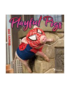TF Publishing Humor Mini Wall Calendar, 7in x 7in, Playful Pigs, January To December 2022