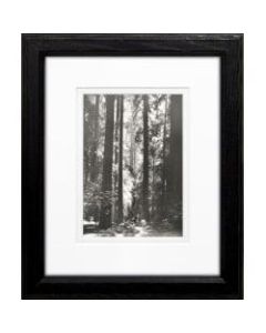 Timeless Frames Supreme Framed Landscape Artwork, 8in x 10in, Black, Redwoods Founders Grove