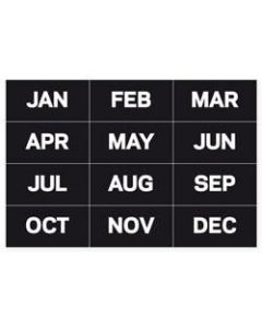 MasterVision Magnetic Months Of The Year, 1in x 2in, Set Of 12