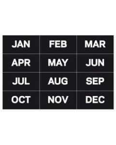 MasterVision Magnetic Months Of The Year, 1in x 2in, Set Of 12