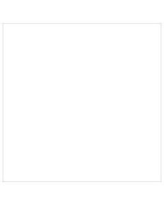 Tape Logic WriteOn Inventory Labels, DL638E, Square, 4in x 4in, White, Roll Of 500