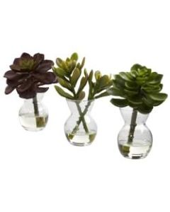 Nearly Natural 5-1/2inH Succulent Arrangements With Glass Vases, Green, Set Of 3 Arrangements
