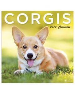 TF Publishing Animal Wall Calendar, 12in x 12in, Corgis, January To December 2022