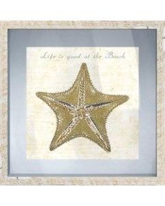 PTM Images Framed Art, Starfish II, 17 1/2inH x 17 1/2inW
