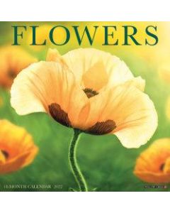 Willow Creek Press Scenic Monthly Wall Calendar, 12in x 12in, Flowers, January To December 2022