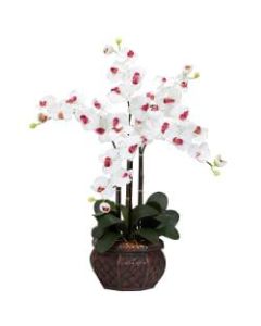 Nearly Natural 31inH Silk Phalaenopsis Arrangement With Decorative Pot, White