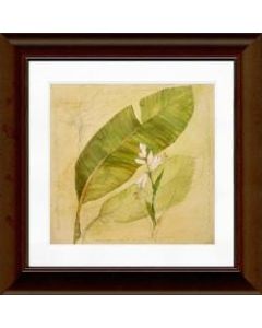 Timeless Frames Katrina Framed Floral Artwork, 12in x 12in, Brown, Botanical Study I