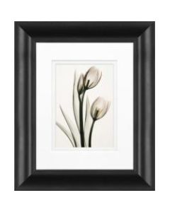 Timeless Frames Marren Framed Floral Artwork, 8in x 10in, Black, Pink Tulips
