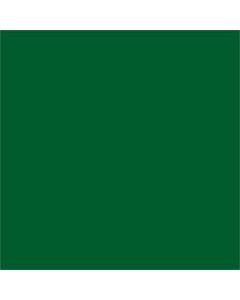 Tape Logic WriteOn Inventory Labels, DL638D, Square, 4in x 4in, Green, Roll Of 500