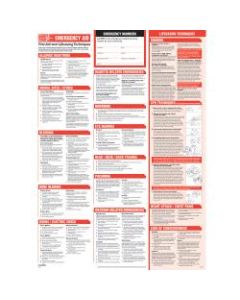 ComplyRight Emergency Aid Poster, Spanish, 20in x 12in
