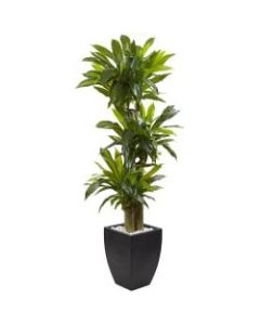 Nearly Natural 5-1/2ftH Polyethylene Cornstalk Dracaena Plant With Clay Planter, Black Wash/Green