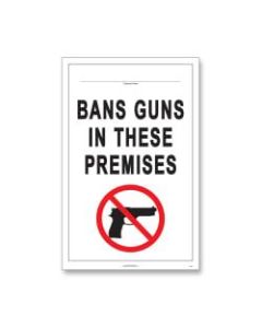 ComplyRight State Weapons Law Poster, English, Minnesota, 11in x 17in
