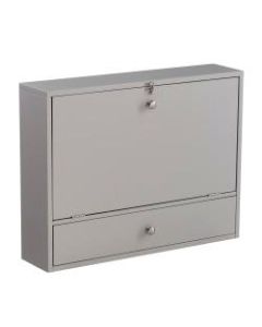 Southern Enterprises Wall-Mount 26inW Desk With Storage, Gray