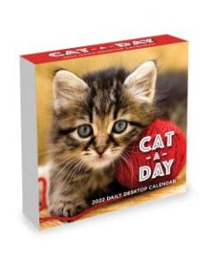 TF Publishing Animal Daily Desktop Calendar, 5-1/4in x 5-1/4in, Cat A Day, January To December 2022